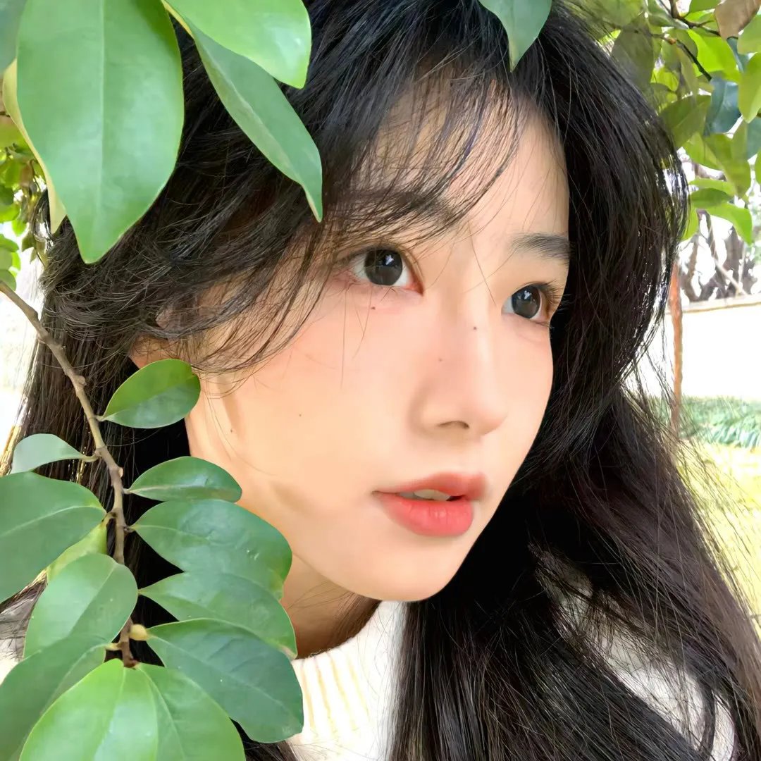 龟女士的奥德赛